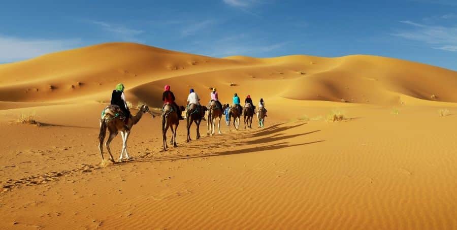camel-trek-in-the-sahara-desert.jpg