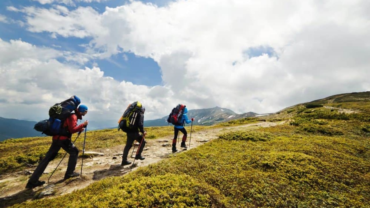 Walking Groups
