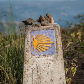 Camino