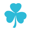 Irish Owned & Operated