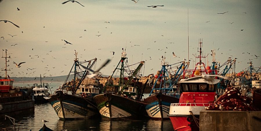 magical-morocco-boat.jpg