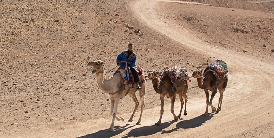 magical-morocco-dessert-ride.jpg