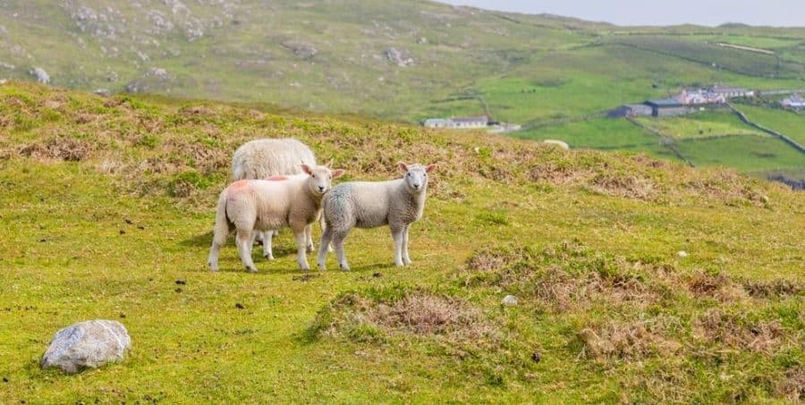 explore-beara-peninsula.jpg
