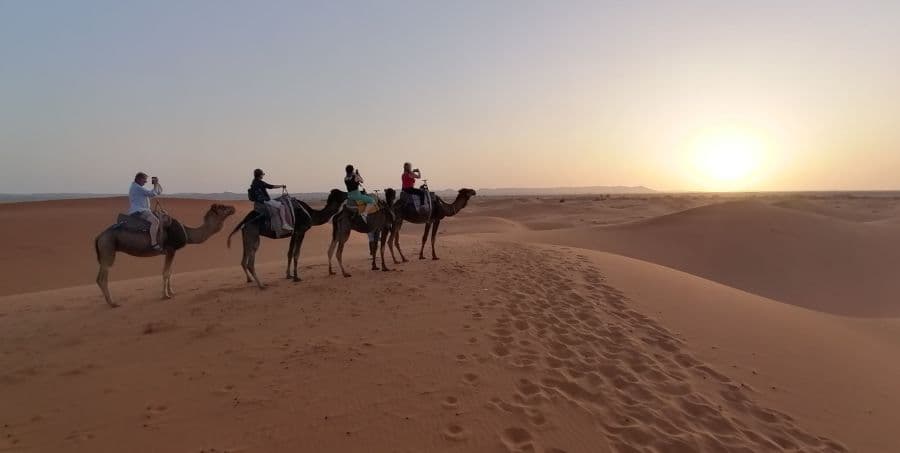 camel-ride-in-sahara-desert.jpg