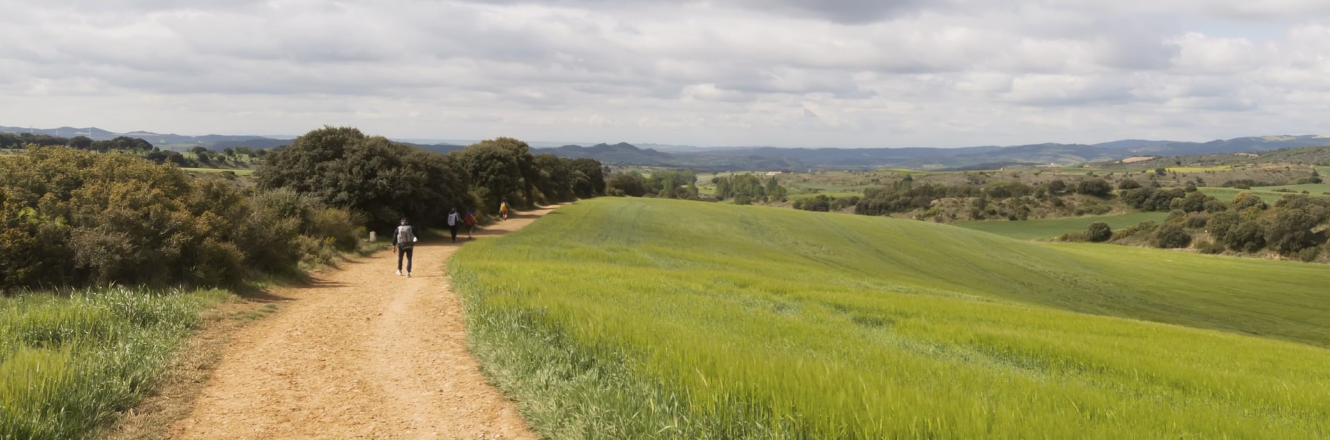 Experience the Beauty of the Spanish Countyside on a Holiday to Camino de Santiago