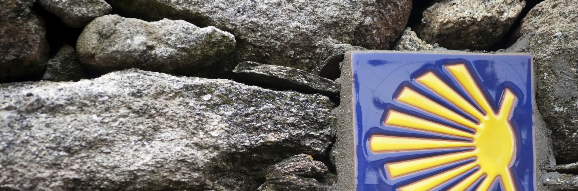 See the Pilgrims shell In Camino De Santiago