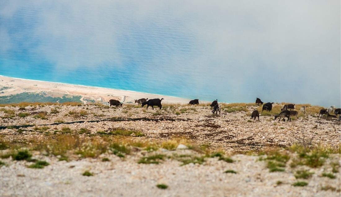 Explore the  Llogara National Park in Albania