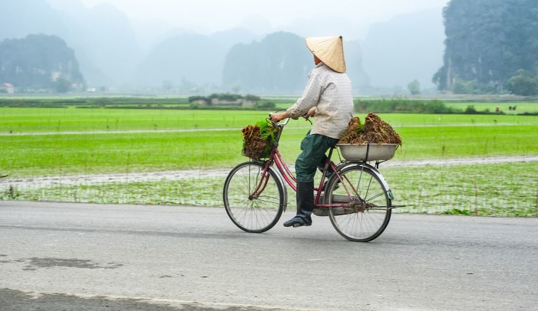 Guided Cycling Tours through Vietnam