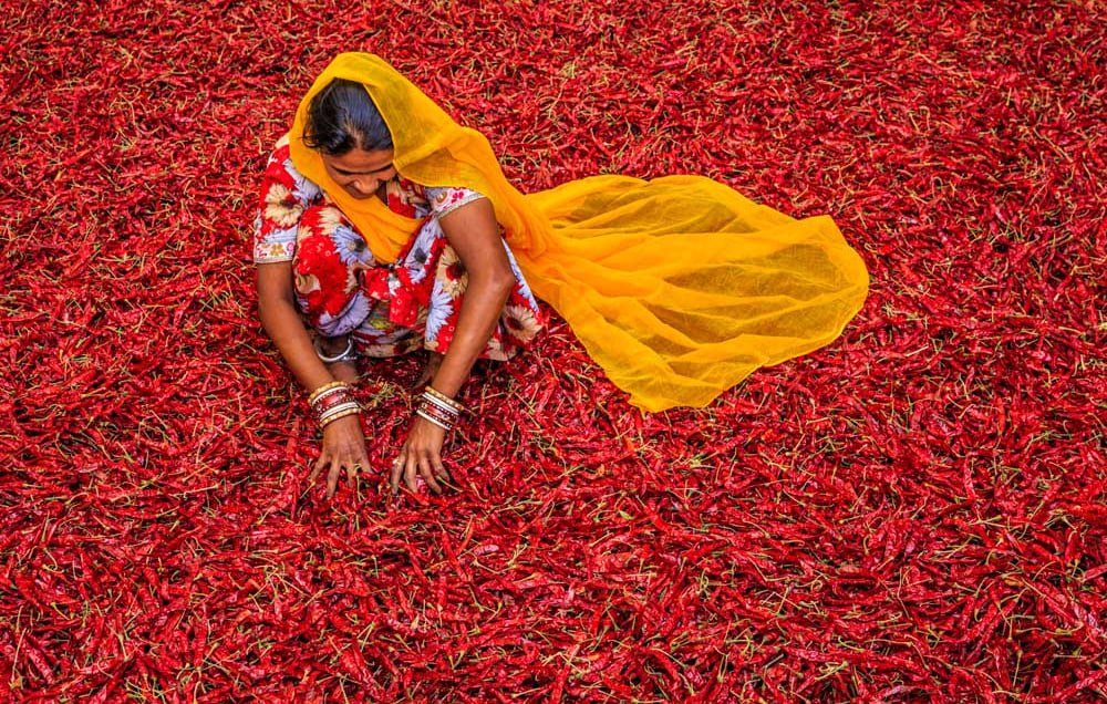  Explore India - Delhi, Taj Mahal, Jaipur & Cruise The Ganges