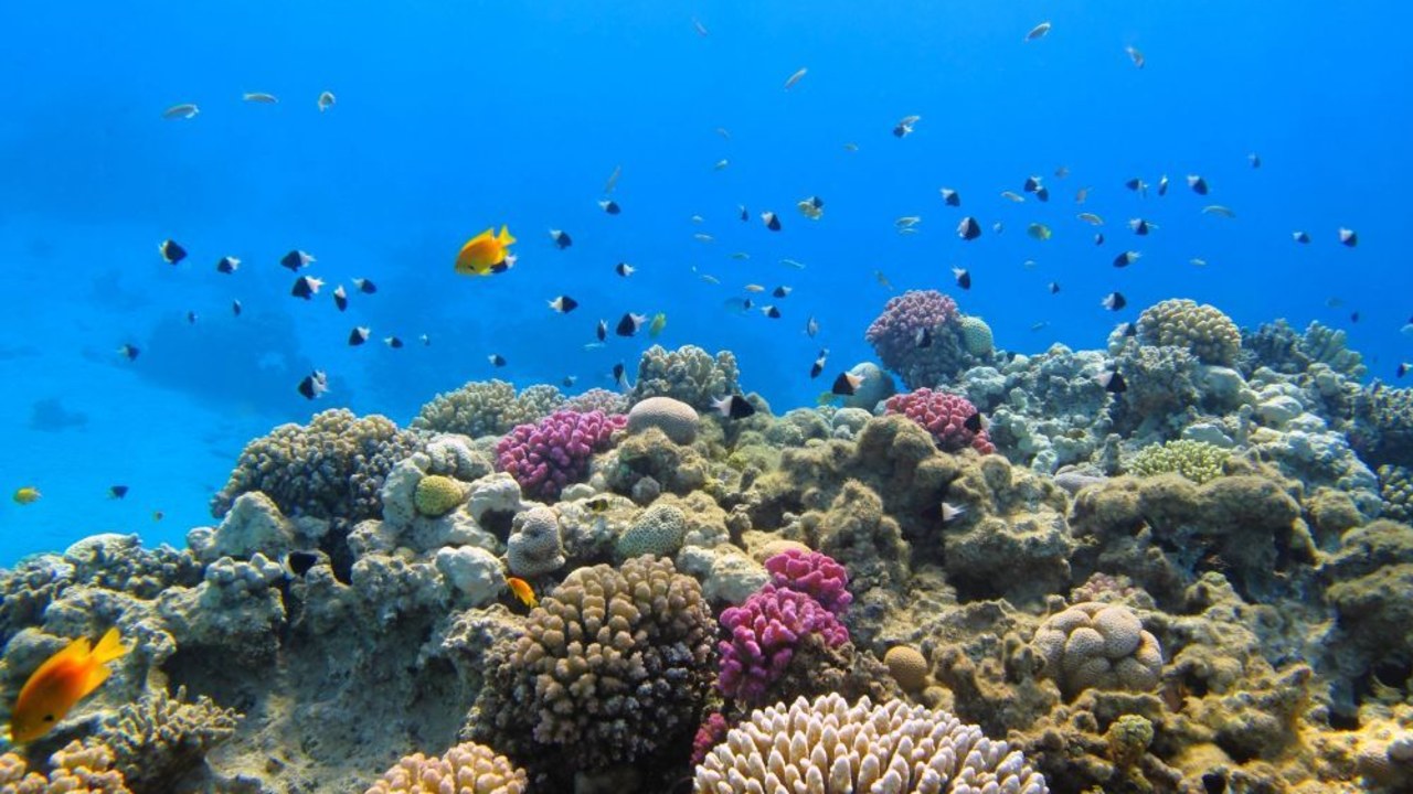 Top 10 activities to do in Jordan