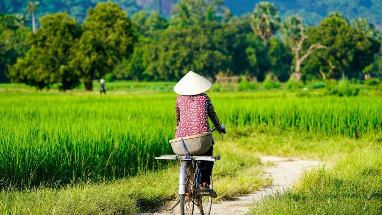 Best time to go to Vietnam