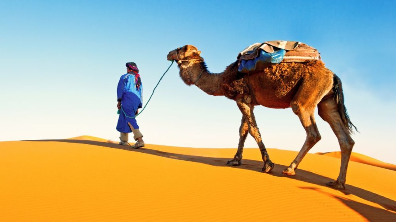Top 10 Things To Do In Morocco