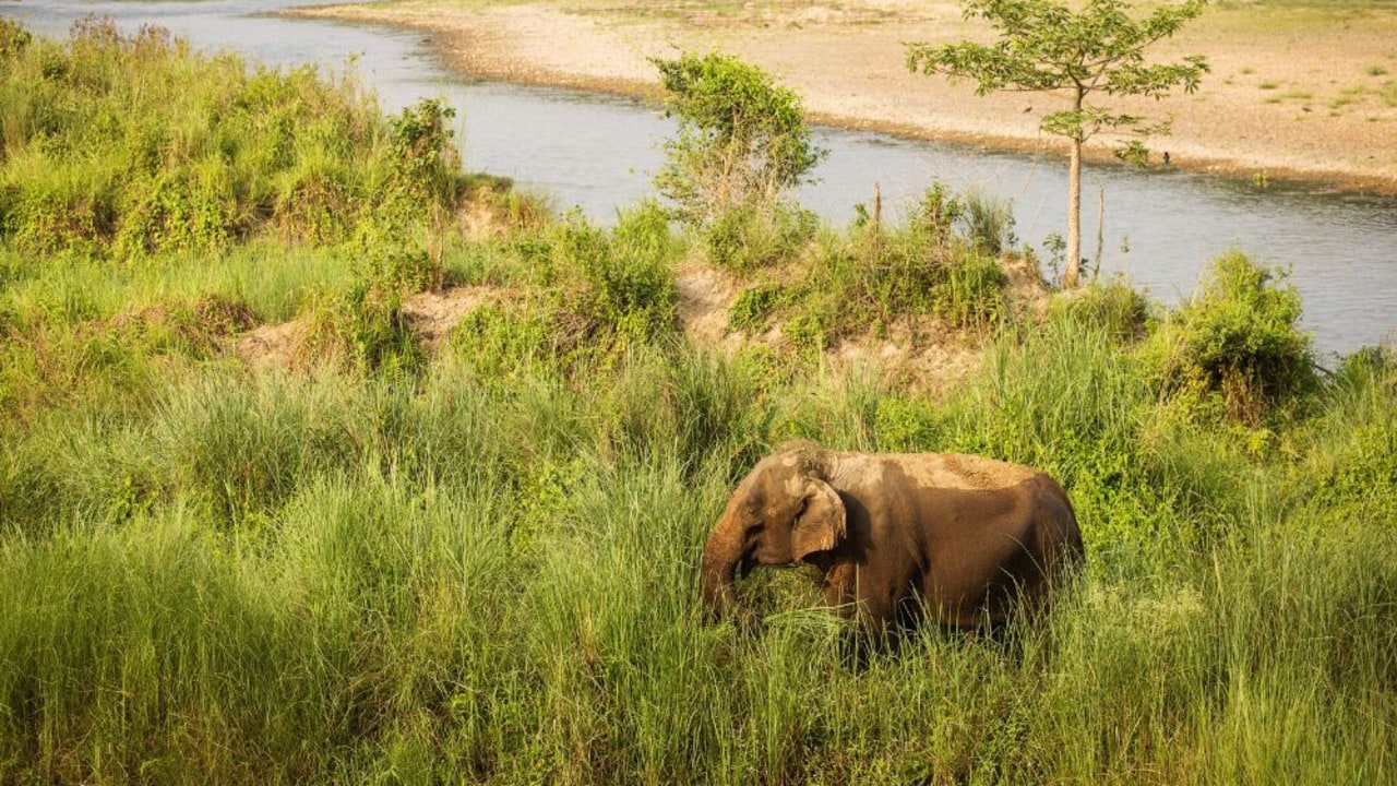 Best time to go to Nepal