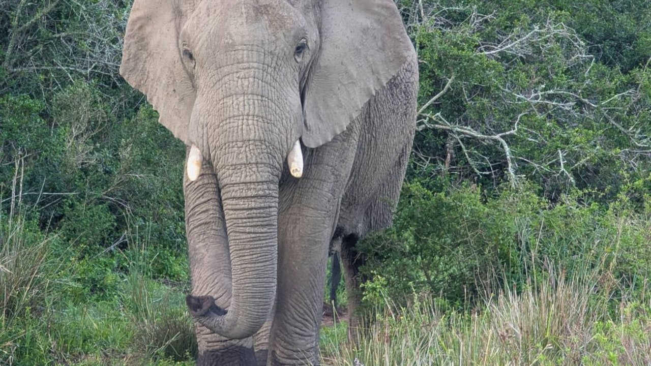 Adventure Holidays in Africa & the Middle East