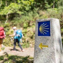 Camino Holidays