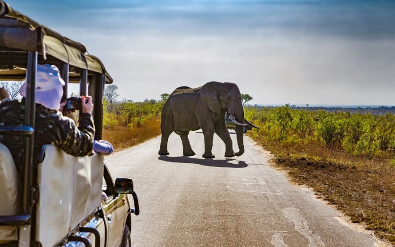 How to prepare for going on Safari