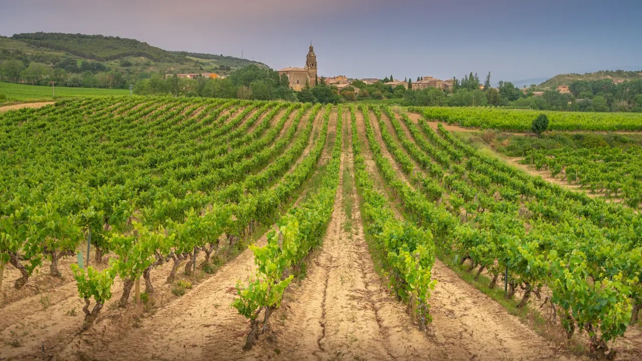 Rioja Region