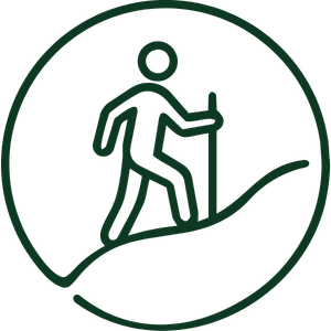Moderate