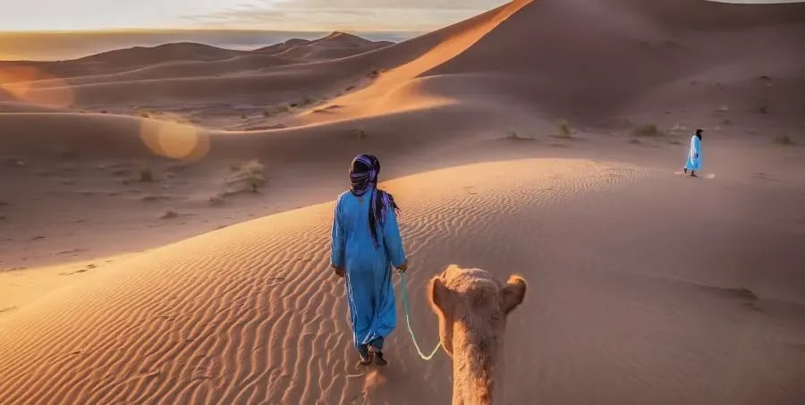 Explore Sahara Desert - Morocco Holidays.webp