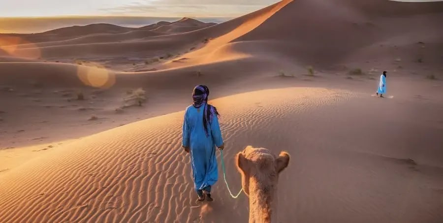 Explore Sahara Desert - Morocco Holidays.webp