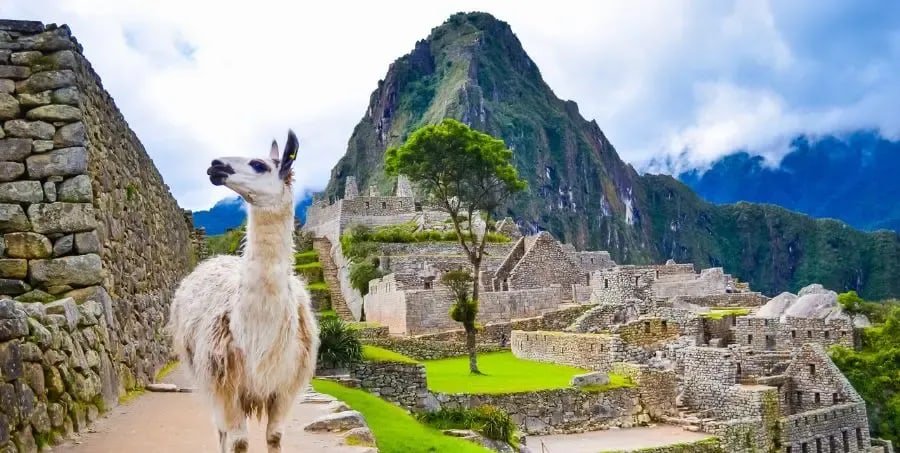 Trek Machu Picchu - Peru holidays.webp