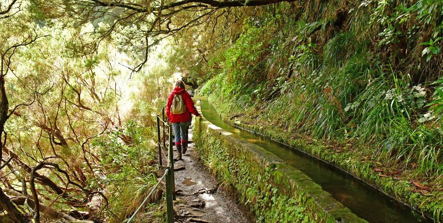 Hiking Levadas - Madeira Walking.jpg