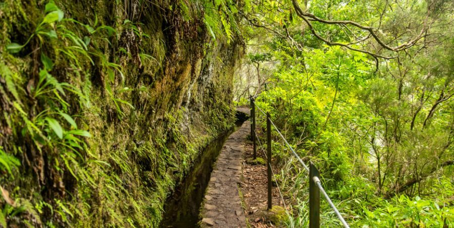 Caldeirão Verde Levada.jpg