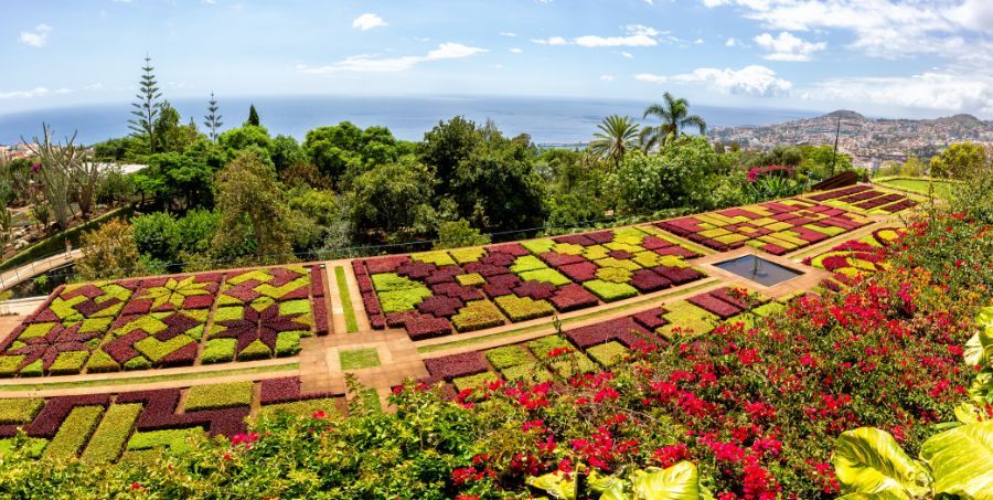 Funchal Botanical Garden.jpg