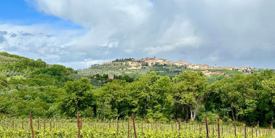 Discover Montepulciano Wine Region.jpg