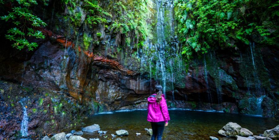 Blog Images - 2024-11-05T083118.428.jpg