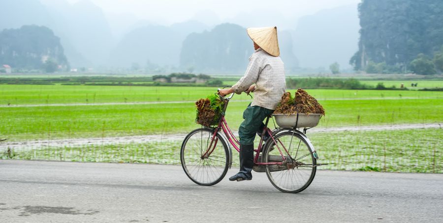 Cycle Vietnam countryside.jpg