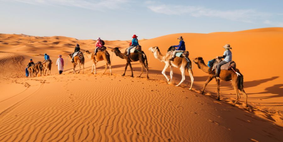 Camel ride Sahara Desert.jpg