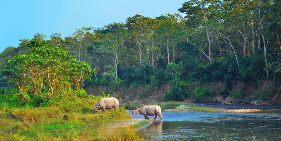 Explore Chitwan National Park.jpg