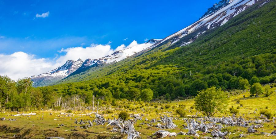 Explore Tierra del Fuego National Park.jpg
