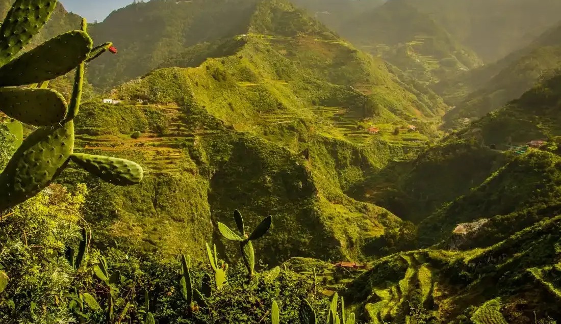 Visit Anaga Rural Park 