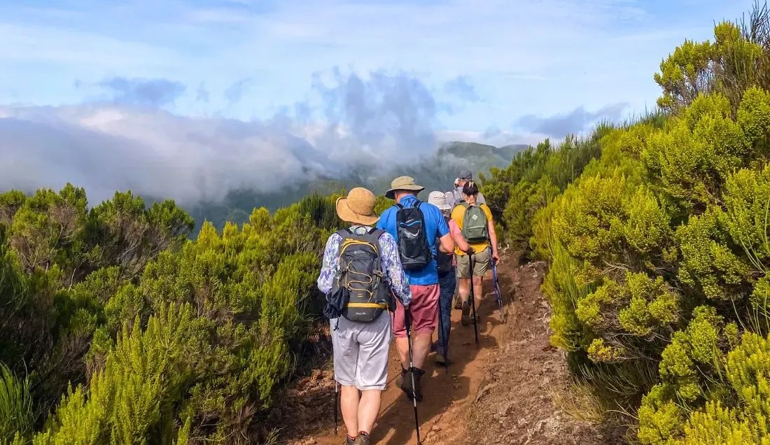 Connect with nature and like-minded explorers on Madeira’s most stunning trails!