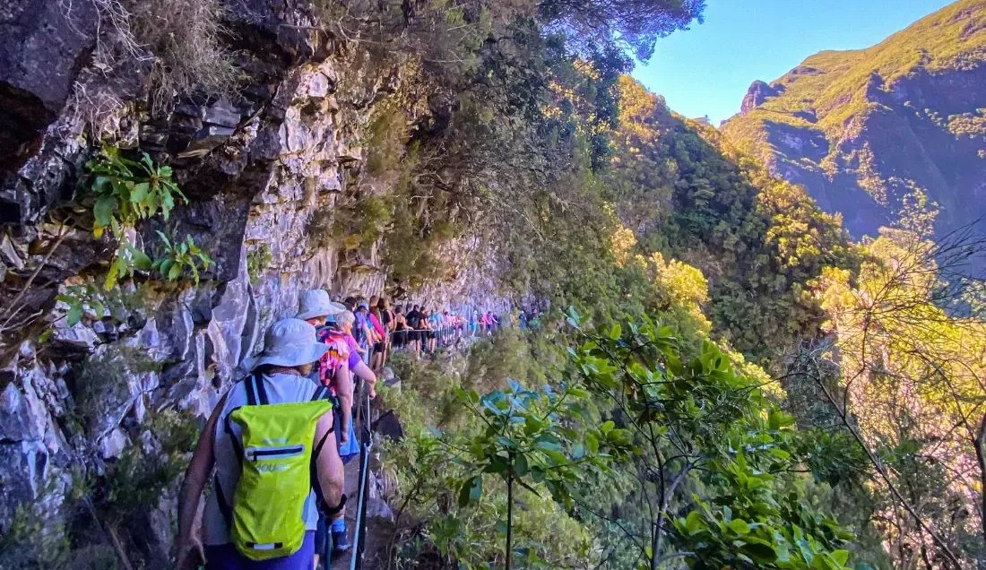 Experience the breathtaking Levada do Caldeirão Verde