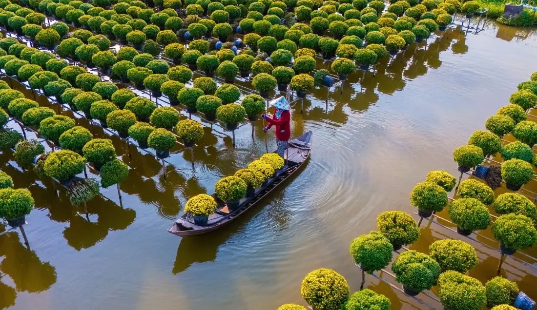 Mekong Delta by Boat