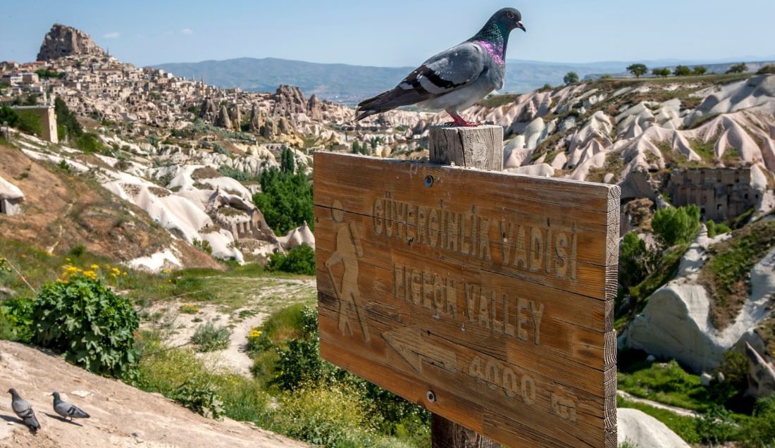 Visit Pigeon Valley, one of the most picturesque valleys in Cappadocia