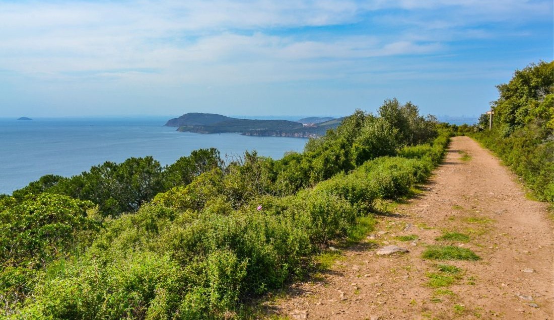 Discover the scenic hiking trails of Buyukada.