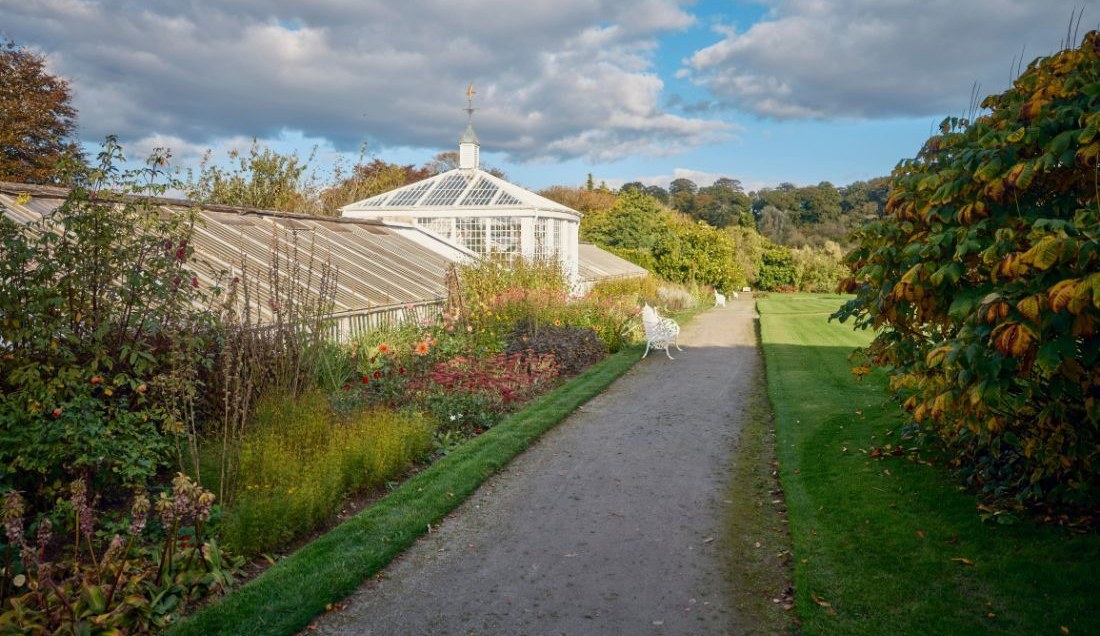 Visit the tranquil gardens and historic glasshouse at Mount Congreve.