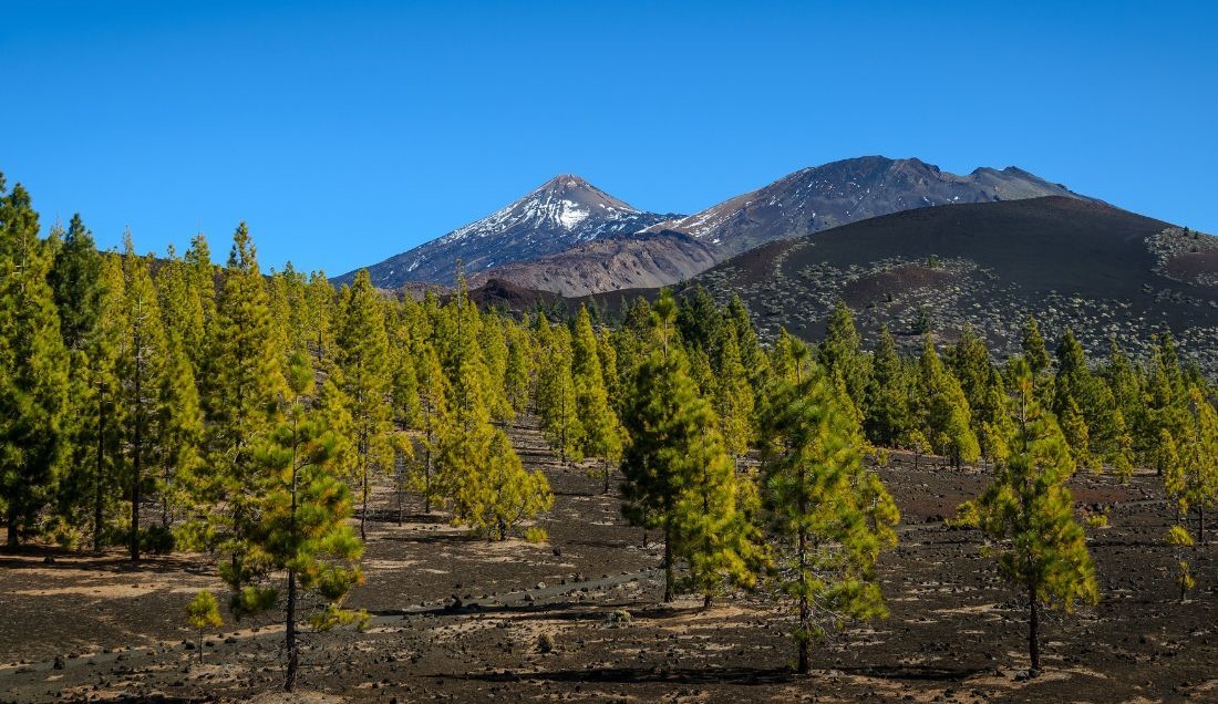 Hike across the dramatic volcanic landscapes of Montaña Samara.