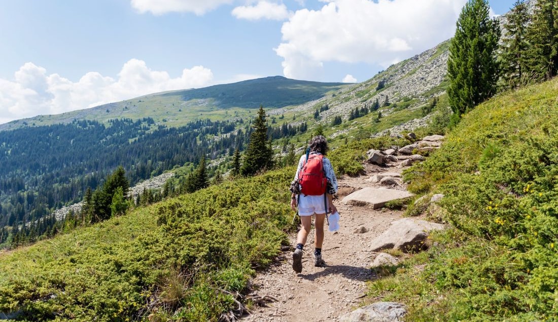 Experience the hiking trails in Vitosha. 
