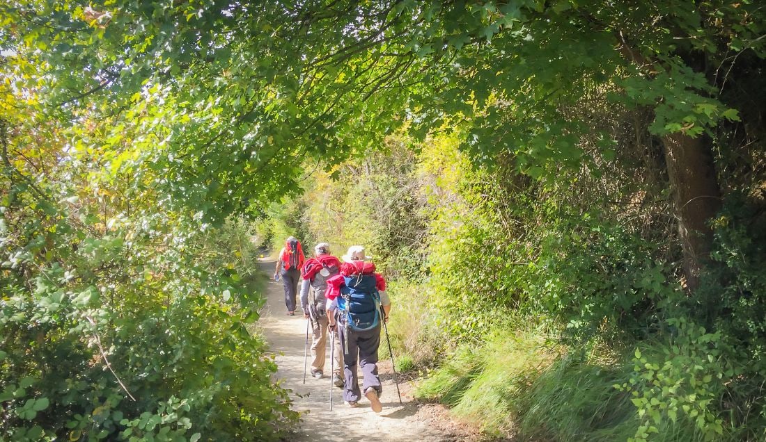 Experience the Camino with fellow hikers.