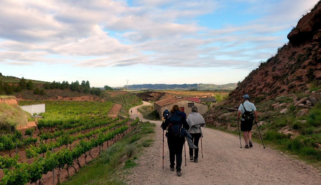 Walk through the vineyards of La Rioja.