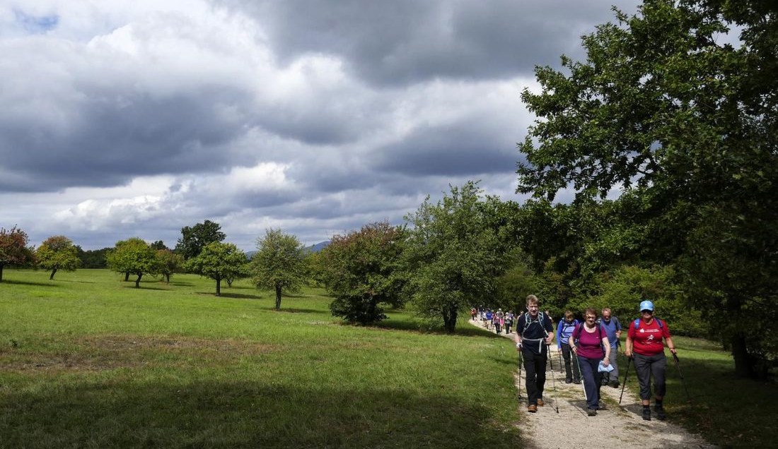 Walk through the countryside of Hungary with fellow hikers. 
