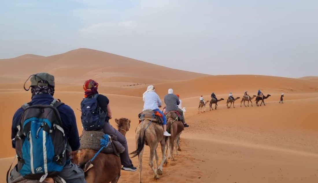 Take a camel ride across the dunes of the Sahara Desert.